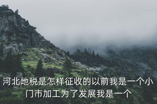 河北省地稅報稅征收方式是什么，河北地稅申報個人所得稅
