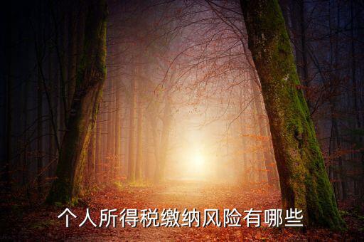 所得稅申報(bào)時(shí)有什么風(fēng)險(xiǎn)提示，個(gè)人所得稅繳納風(fēng)險(xiǎn)有哪些