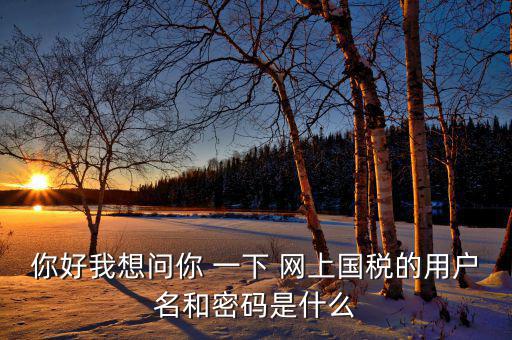 電子稅務(wù)的賬號密碼是什么，你好我想問你 一下 網(wǎng)上國稅的用戶名和密碼是什么