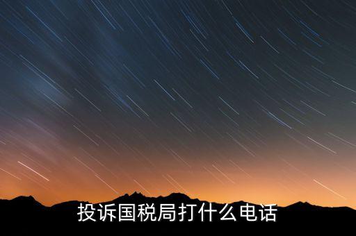 投訴國稅局 打什么電話，稅務(wù)局什么舉報電話呀居然沒人接太可惡了