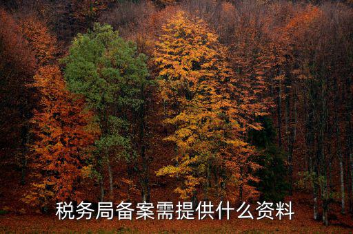 稅務局備案需提供什么資料，稅務局備案需提供什么資料