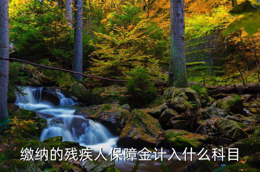 殘疾人就業(yè)保障金稅目是什么，殘疾人就業(yè)保障金應(yīng)計什么會計科目