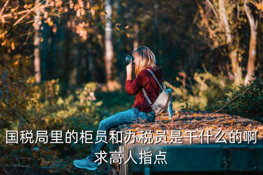 國(guó)稅局導(dǎo)稅員干什么的，國(guó)稅局里的柜員和辦稅員是干什么的啊求高人指點(diǎn)
