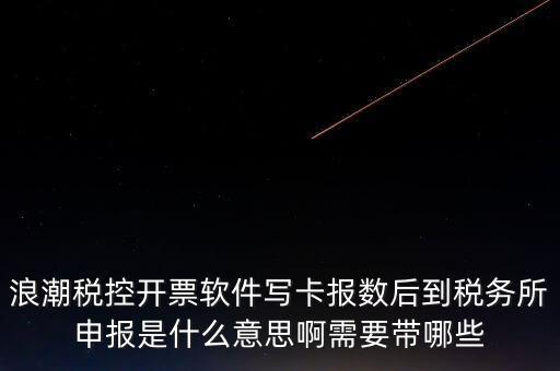 浪潮稅控開(kāi)票軟件寫(xiě)卡報(bào)數(shù)后到稅務(wù)所申報(bào)是什么意思啊需要帶哪些