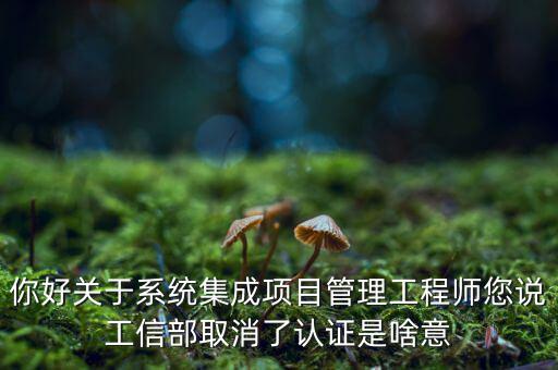 你好關(guān)于系統(tǒng)集成項目管理工程師您說工信部取消了認(rèn)證是啥意