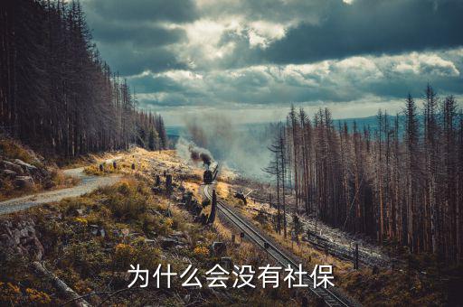 申報社保為什么沒有社保內(nèi)容，為什么會沒有社保