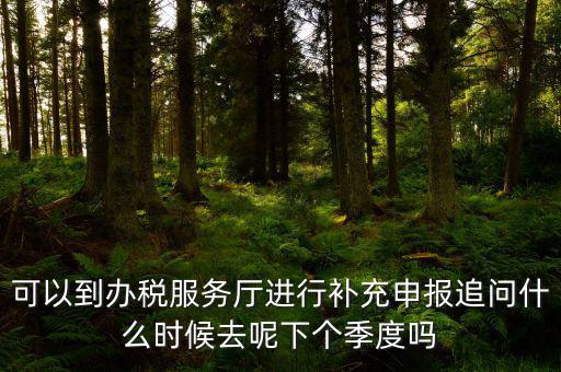 據(jù)實(shí)申報(bào)是按照什么申報(bào)，可以到辦稅服務(wù)廳進(jìn)行補(bǔ)充申報(bào)追問什么時(shí)候去呢下個(gè)季度嗎