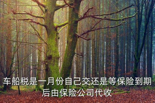 車(chē)船稅是一月份自己交還是等保險(xiǎn)到期后由保險(xiǎn)公司代收