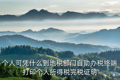 稅務(wù)局自助辦稅服務(wù)終端是什么，自助辦稅終端 報(bào)稅