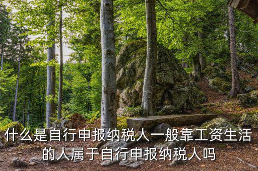 什么是自行申報納稅人一般靠工資生活的人屬于自行申報納稅人嗎
