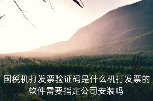 北京國(guó)稅電子發(fā)票驗(yàn)證密碼是什么，國(guó)稅局發(fā)票軟件里用戶代碼和密碼是什么