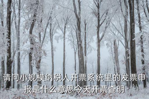 開票申報(bào)是什么原因，納稅申報(bào)出現(xiàn)的問題高手來解