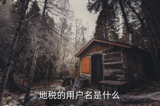 河北地稅申報用戶名是什么，地稅的用戶名是什么