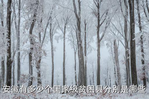 壽縣稅務局在什么地方，壽縣在什么地方