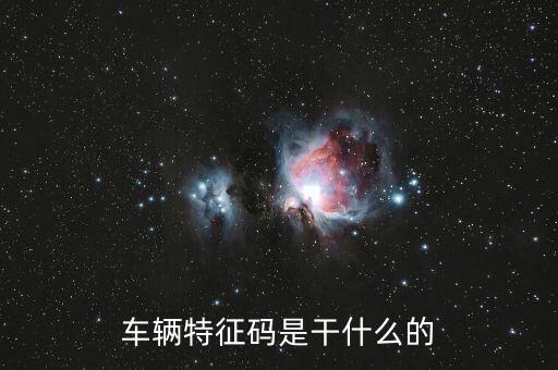 稅政科是干什么的，稅務(wù)局里的稅政科和征管科都有哪些功能