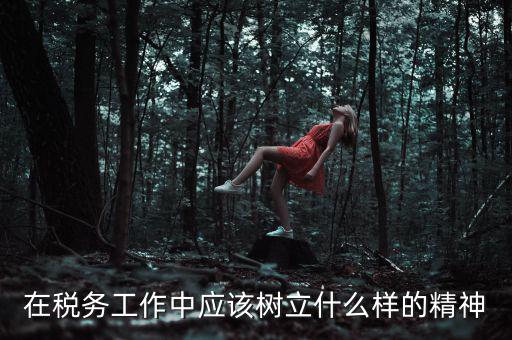 中國稅務(wù)精神是什么2018，在稅務(wù)工作中應(yīng)該樹立什么樣的精神