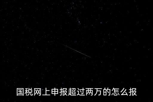 國稅網(wǎng)報入口是什么，怎樣才能進入小規(guī)模納稅人增值稅網(wǎng)上申報系統(tǒng)