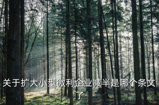 小型微利企業(yè)減半什么意思，遼寧小微企業(yè)所得稅減半征收是什么意思