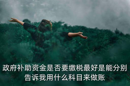 政府補(bǔ)貼交什么稅，關(guān)于政府補(bǔ)助的納稅問題 請高手來回答啊 謝謝