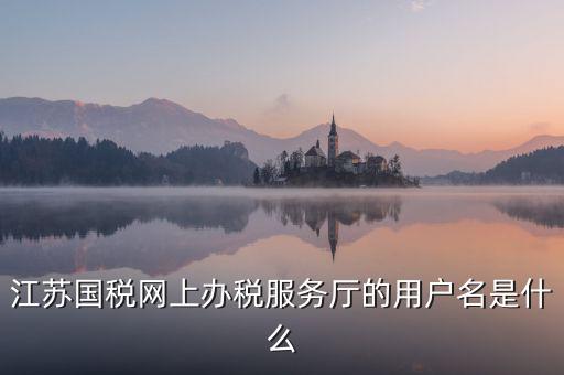 網上辦稅平臺帳號是什么，地稅網上申報用什么帳號