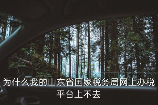 為什么我的山東省國家稅務局網(wǎng)上辦稅平臺上不去