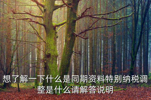 關(guān)聯(lián)申報同期資料是什么，想了解一下什么是同期資料特別納稅調(diào)整是什么請解答說明