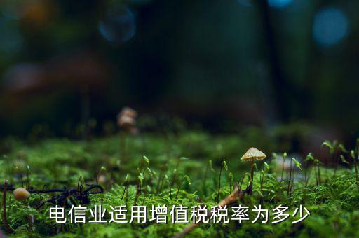 電信服務(wù)什么時候繳納增值稅，電信業(yè)適用增值稅稅率為多少