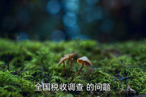 全國稅收調(diào)查是什么呢，全國稅收調(diào)查表說明