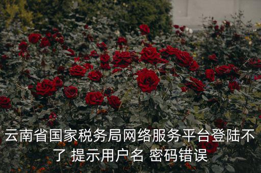云南稅控服務(wù)平臺的網(wǎng)址是什么，云南國稅開票系統(tǒng)網(wǎng)址