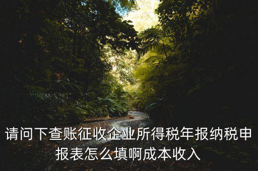 企業(yè)所得稅申報(bào)查賬是什么表，剛注冊(cè)了一個(gè)小規(guī)模的公司企業(yè)所得稅是查帳征收企業(yè)所得稅報(bào)表