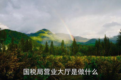 國稅局大廳工作是什么，國稅大廳咨詢?nèi)藛T具體是做什么工作的