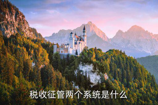 稅務什么叫核心征管系統(tǒng)，稅收征管兩個系統(tǒng)是什么