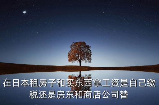 日本租稅法是什么稅，在日本租房子和買東西拿工資是自己繳稅還是房東和商店公司替