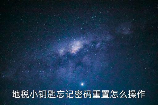地稅密碼重置需要什么，地稅網(wǎng)上納稅申報(bào)密碼忘記了