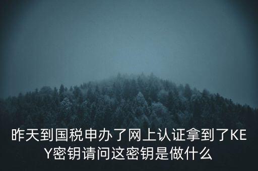 稅務(wù)認(rèn)證密碼是什么，昨天到國(guó)稅申辦了網(wǎng)上認(rèn)證拿到了KEY密鑰請(qǐng)問這密鑰是做什么
