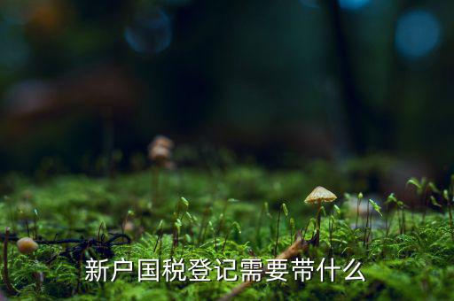 稅務(wù)新開(kāi)戶需要帶什么東西，新戶國(guó)稅登記需要帶什么