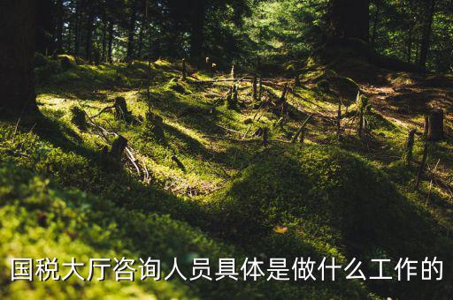 國(guó)稅大廳咨詢(xún)?nèi)藛T具體是做什么工作的