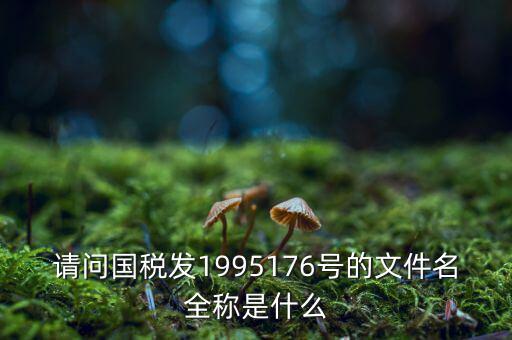國稅初始化文件是什么字頭，稅務(wù)申報(bào)材料初始化是什么意思