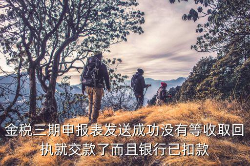金稅三期能對接銀行什么嗎，金稅三期會查個人銀行流水嗎
