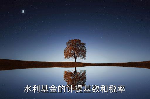 水利基金計(jì)算基數(shù)是什么意思，水利基金的計(jì)提基數(shù)和稅率