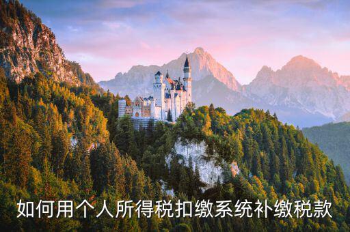個人所得稅用什么系統(tǒng)，個人所得稅代扣代繳系統(tǒng) 支持Windows7 嗎