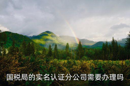 四川國稅局實名認(rèn)證需要什么手續(xù)，在國稅局辦理法人實名制認(rèn)證要帶什么材料