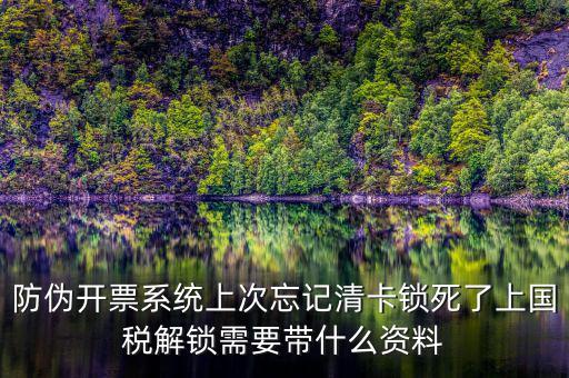 防偽開(kāi)票系統(tǒng)上次忘記清卡鎖死了上國(guó)稅解鎖需要帶什么資料