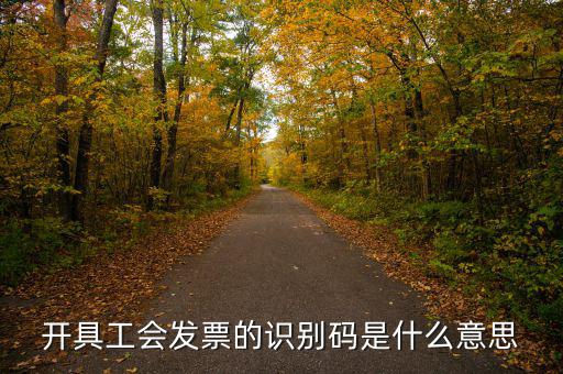 河北省發(fā)票識別碼是什么意思，開票方識別號是什么意思