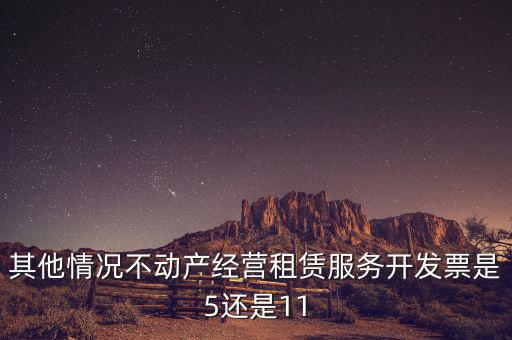 其他情況不動產(chǎn)經(jīng)營租賃服務開發(fā)票是5還是11