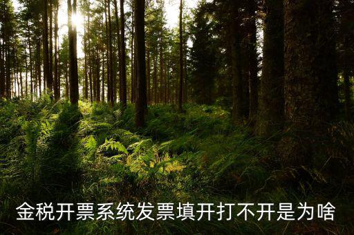 金稅開(kāi)票系統(tǒng)發(fā)票填開(kāi)打不開(kāi)是為啥