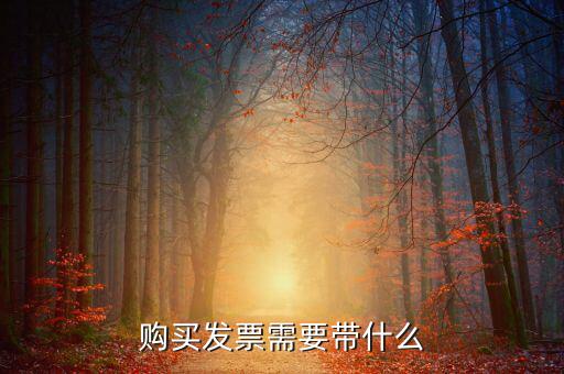 長春購置發(fā)票需要什么資料，初次購買發(fā)票要什么資料