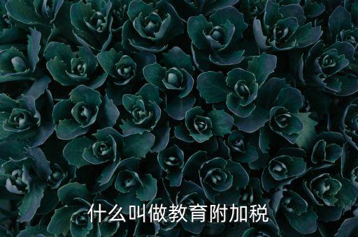 教育附加什么意思，教育費(fèi)附加代表什么意思