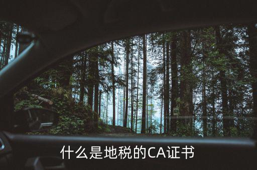 什么叫地稅CA用戶，什么是CA用戶