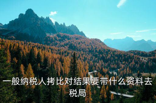 去稅務(wù)拷初始化文件帶什么東西，一般納稅人拷比對結(jié)果要帶什么資料去稅局